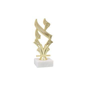 Aleph Trophy Award