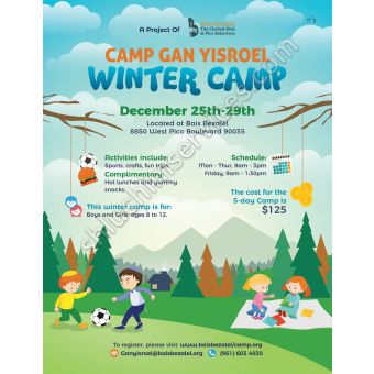 Camp Gan Israel Flyer Design