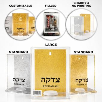 Lucite Wall-Hanging or Free Standing Acrylic Tzedakah Box - Smaller/Larger (Engravable)