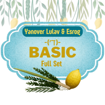 Yanover Lulav & Esrog - Basic Full Set ( ד׳ D )
