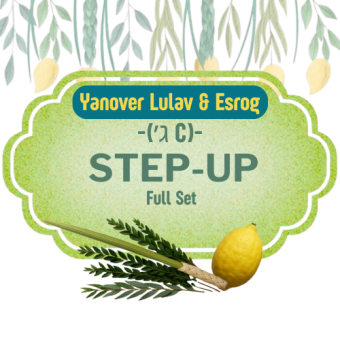 Yanover Lulav & Esrog - Step-Up Full Set ( ג׳ C)