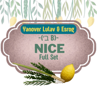 Yanover Lulav & Esrog - Nice Full Set ( ב׳ B )